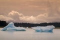 Icebergs from the Leconte Glacier Royalty Free Stock Photo