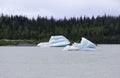 Icebergs in Mendenhall Lake