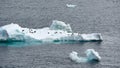 Icebergs with Adelie penguins upside in Antarctic Ocean near Paulet Island Antarctica.