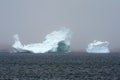 Icebergs Twillingate Royalty Free Stock Photo