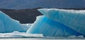 Icebergs in the water, the glacier Perito Moreno. Argentina. Royalty Free Stock Photo