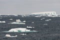 Icebergs in the Weddell Sea