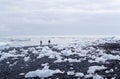 Iceburg on the black rock beach