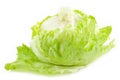 Iceburg Lettuce Royalty Free Stock Photo