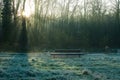 Landscape with bench on a frosty winterday