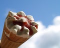 Icecream Royalty Free Stock Photo