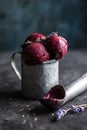 Icecream made of frozen banana and blueberry. Vegan gelato. Tasty vegetarion concept Royalty Free Stock Photo