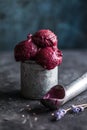 Icecream made of frozen banana and blueberry. Vegan gelato. Tasty vegetarion concept Royalty Free Stock Photo