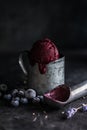 Icecream made of frozen banana and blueberry. Vegan gelato. Tasty vegetarion concept Royalty Free Stock Photo