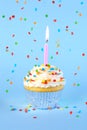 Birthday cupcake with with lit candle and sprinkles Royalty Free Stock Photo