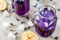 Iced butterfly pea flower tea Royalty Free Stock Photo