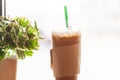 Iced coffee in plastic glass with small tree pot