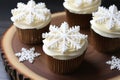 iced cupcakes, each with a unique snowflake design