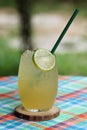 Iced drink in a clear glass Royalty Free Stock Photo