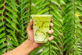 iced Green matcha tea mixed with ice cube and milk in latte glass  with green nature background Royalty Free Stock Photo