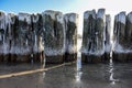 Iced groynes in early spring on the coast of the Baltic Sea in northern Germany Royalty Free Stock Photo