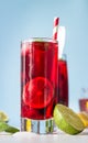 Iced hibiscus tea karkade, red sorrel, Agua de flor de Jamaica or lemonade with raspberries, blackberries, mint and citrus. Royalty Free Stock Photo