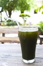 Iced hydrocotyle juice in thailand Royalty Free Stock Photo