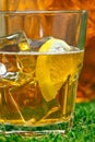 Iced Lemon Ice Tea Royalty Free Stock Photo