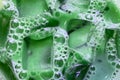 Iced matcha latte close up, texture of refreshing tea with transparent ice cubes and bubbles Royalty Free Stock Photo