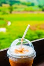 Iced Milk Tea in Plastic Glass with Natural View Royalty Free Stock Photo