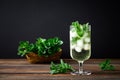 Iced mint tea, refreshing herbal drink in a glass with ice and fresh leaves on dark background Royalty Free Stock Photo