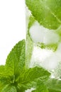 Iced mint water on a glass