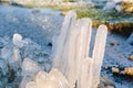 Iced over grass in an abstract beautiful form Royalty Free Stock Photo