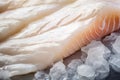 Close up of raw cod fish fillet Royalty Free Stock Photo