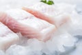Iced raw cod fish fillets Royalty Free Stock Photo