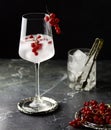 Iced red currant drink in wine glass. Fresh ice cold fruit cocktail in glass, refreshing summer red currant berry drink with on Royalty Free Stock Photo