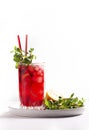 Iced red tea with lemon garnished with mint on a white background