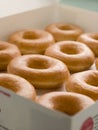 Iced Ring Doughnuts In A Tray Royalty Free Stock Photo