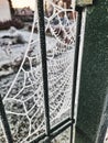 Iced spider's web on the fence in the morning