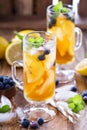 Iced tea with blueberries and lemon slices Royalty Free Stock Photo