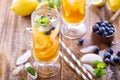 Iced tea with blueberries and lemon slices Royalty Free Stock Photo