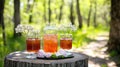 Iced tea forest picnic refreshment spring Royalty Free Stock Photo