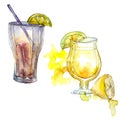 Iced tea and fresh from pineapple bar party cocktail drink. Nightclub isolated icon sketch drawing.