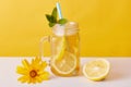 Iced tea with lemon slices and mint, glass pitcher with citrous refreshing summer cocktail and drinking straw on table decorated