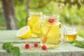 Iced tea with lemon slices and mint.