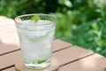 Iced water with mint