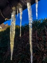 Iceicle at the roof Royalty Free Stock Photo