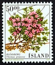 ICELAND - CIRCA 1988: A stamp printed in Iceland from the `Flowers` issue shows Mother of Thyme Thymus praecox, circa 1988.