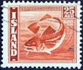 ICELAND - CIRCA 1939: A stamp printed in Iceland shows Codfish Gadus morhua, circa 1939. Royalty Free Stock Photo
