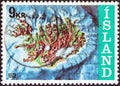 ICELAND - CIRCA 1972: A stamp printed in Iceland shows contour map and continental shelf, circa 1972.