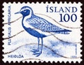 ICELAND - CIRCA 1981: A stamp printed in Iceland shows European golden plover Pluvialis apricaria, circa 1981. Royalty Free Stock Photo