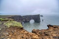 Iceland DyrhÃÂ³laey , Reynisfjara Beach, cliffs and characteristic stretch of sea