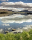 Iceland field