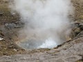 Iceland Geysir Royalty Free Stock Photo