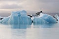 Iceland: Icebergs in glacier lake